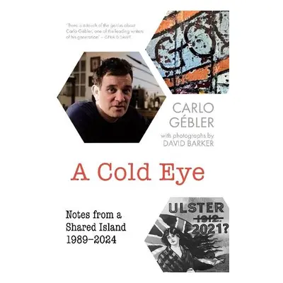 A Cold Eye - Gebler, Carlo