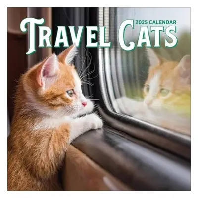 Travel Cats Wall Calendar 2025 - Calendars, Workman