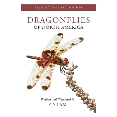 Dragonflies of North America - Lam, Ed