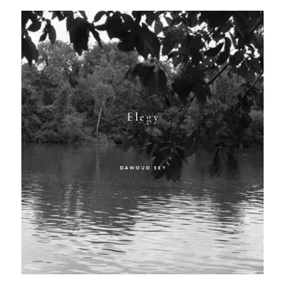 Dawoud Bey: Elegy - Oliver, Valerie Cassel