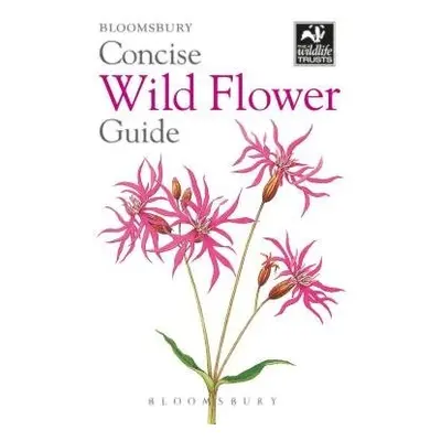 Concise Wild Flower Guide - Bloomsbury