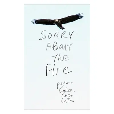 Sorry About the Fire - Collins, Colleen Coco