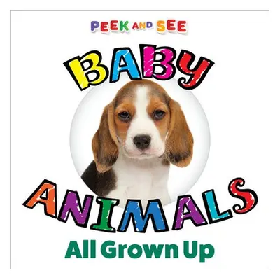 Peek and See Baby Animals All Grown Up - Editors of Happy Fox Books