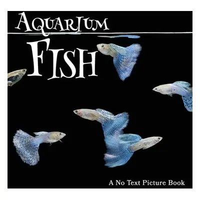 Aquarium Fish, A No Text Picture Book - Happiness, Lasting