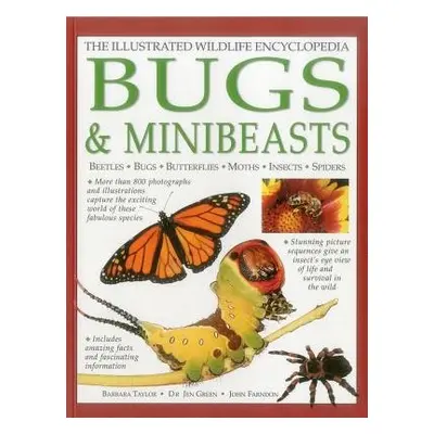 Illustrated Wildlife Encyclopedia: Bugs a Minibeasts - Taylor Barbara