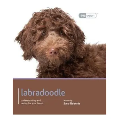 Labradoodle - Dog Expert - Rogers, Sarah