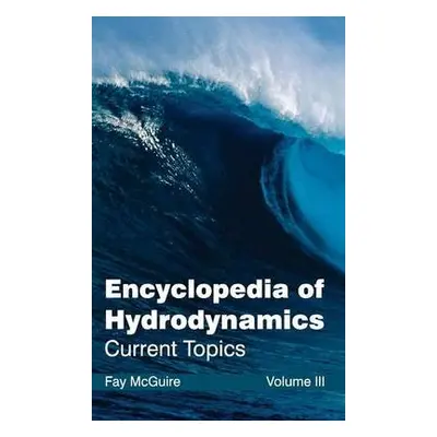 Encyclopedia of Hydrodynamics: Volume III (Current Topics)