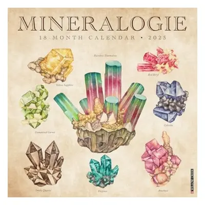 Mineralologie 2025 12 X 12 Wall Calendar - Willow Creek Press