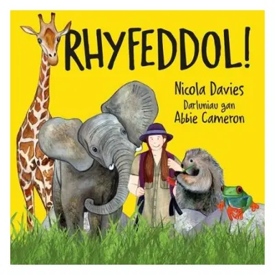 Rhyfeddol! - Davies, Nicola