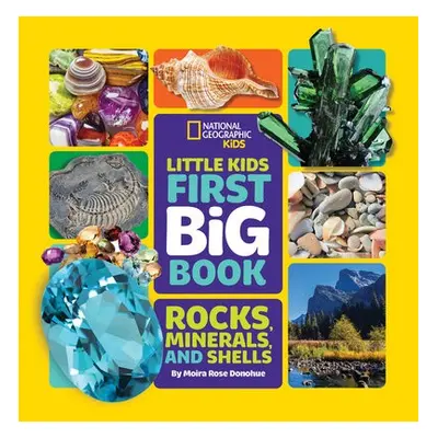 Little Kids First Big Book of Rocks, Minerals and Shells - Rose Donohue, Moira a National Geogra