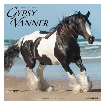 Gypsy Vanner Horse 2025 12 X 12 Wall Calendar - Willow Creek Press