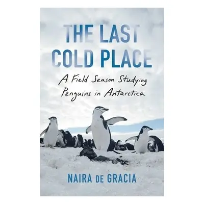 Last Cold Place - Gracia, Naira de