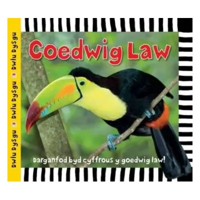 Cyfres Dwlu Dysgu: Coedwig Law - Powell, Sarah