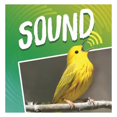 Sound - Dahl, Michael (Author)