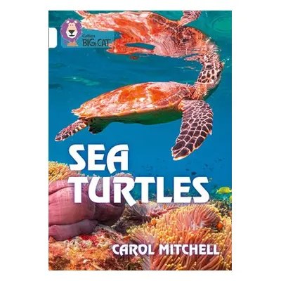 Sea Turtles - Mitchell, Carol