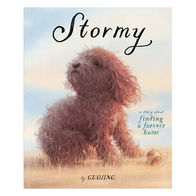 Stormy - Guojing