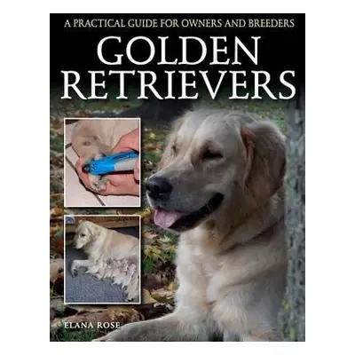 Golden Retrievers - Rose, Elana