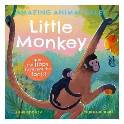 Amazing Animal Tales: Little Monkey - Rooney, Anne