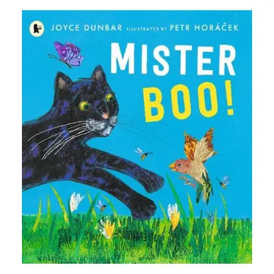 Mister Boo! - Dunbar, Joyce