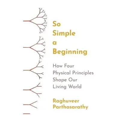 So Simple a Beginning - Parthasarathy, Raghuveer