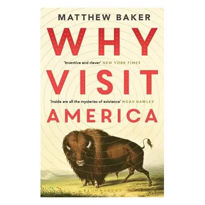 Why Visit America - Baker, mr Matthew