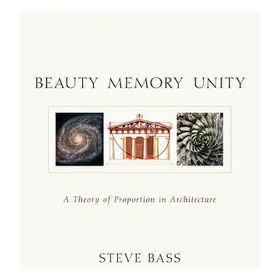 Beauty, Memory, Unity - Bass, Steve