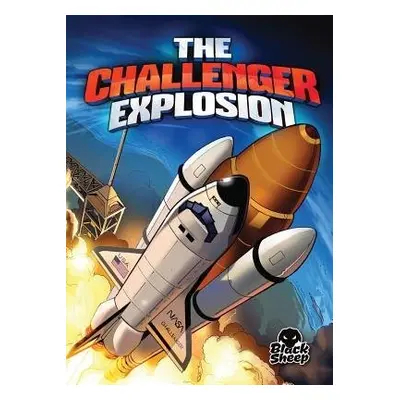 Challenger Explosion - Stone, Adam