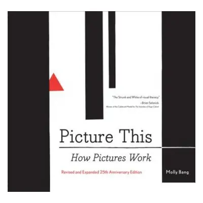 Picture This: How Pictures Work