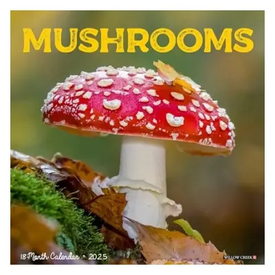 Mushroom (the Art of The) 2025 12 X 12 Wall Calendar - Willow Creek Press