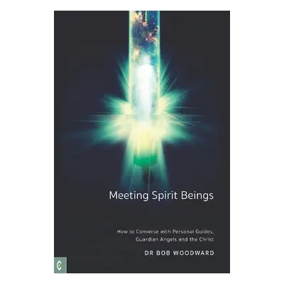 Meeting Spirit Beings - Woodward, Bob