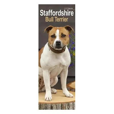 Staffordshire Bull Terrier Slim Calendar 2025 Dog Breed Slimline Calendar - 12 Month