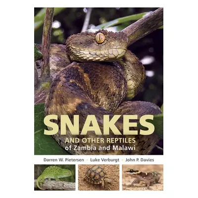 Field Guide to Snakes and other Reptiles of Zambia and Malawi - Pietersen, Darren W. a Verburgt,