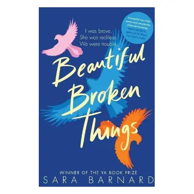 Beautiful Broken Things - Barnard, Sara