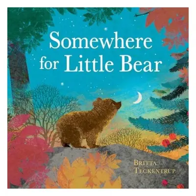 Somewhere for Little Bear - Teckentrup, Britta