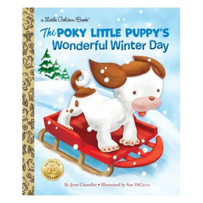 Poky Little Puppy's Wonderful Winter Day - Chandler, Jean