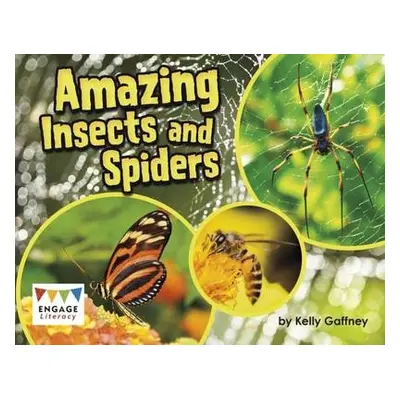 Amazing Insects and Spiders - Gaffney, Kelly