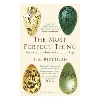 Most Perfect Thing - Birkhead, Tim