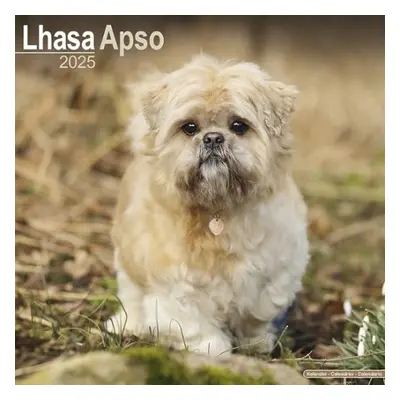 Lhasa Apso Calendar 2025 Square Dog Breed Wall Calendar - 16 Month