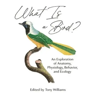 What Is a Bird?