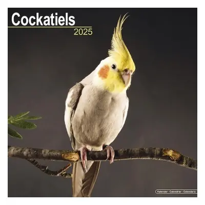 Cockatiels Calendar 2025 Square Bird Wall Calendar - 16 Month