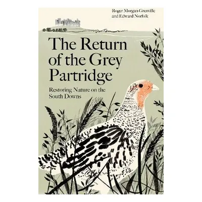 Return of the Grey Partridge - Morgan-Grenville, Roger a Norfolk, Edward (author)