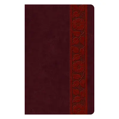 ESV Large Print Personal Size Bible