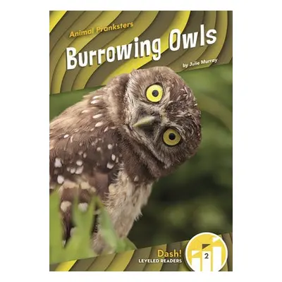 Animal Pranksters: Burrowing Owls - Murray, Julie