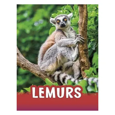 Lemurs - Jaycox, Jaclyn