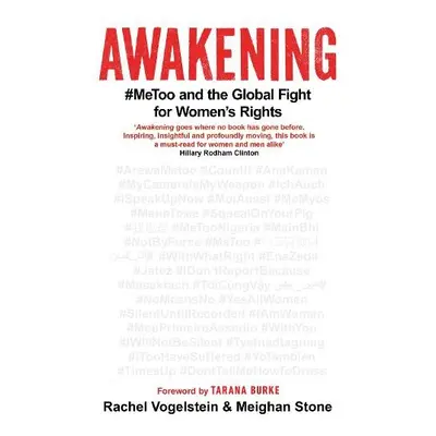 Awakening - Stone, Meighan a Vogelstein, Rachel B.