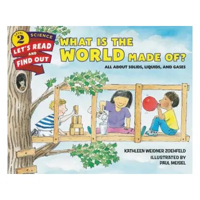 What Is the World Made Of? - Zoehfeld, Kathleen Weidner