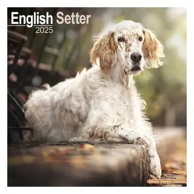 English Setter Calendar 2025 Square Dog Breed Wall Calendar - 16 Month