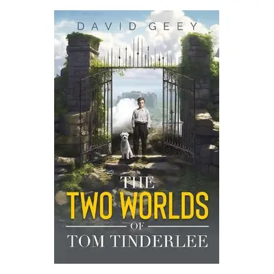 Two Worlds of Tom Tinderlee - Geey, David