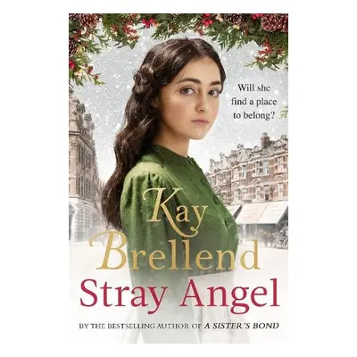 Stray Angel: an absolutely heart-rending Christmas saga - Brellend, Kay