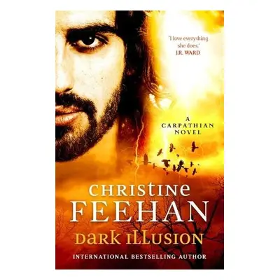 Dark Illusion - Feehan, Christine